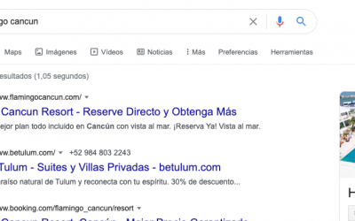 Campaña de Defensa en Google Ads ¿Qué es y para que sirve?